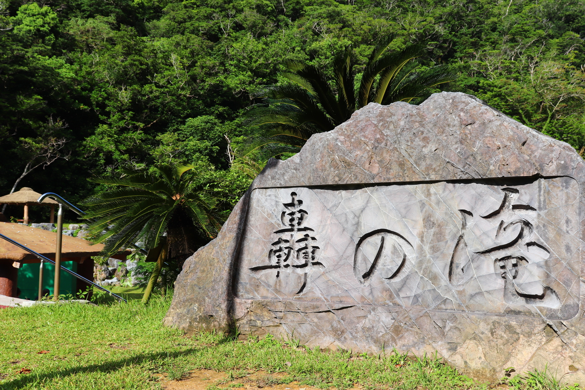 滝のある風景 癒しとくつろぎの沖縄の滝 エプロ写真